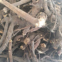 1 кг Эхинацея пурпурная корень сушеный (Свежий урожай) лат. Echinácea purpúrea