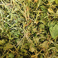 1 кг Звездчатка средняя/мокрица трава сушеная (Свежий урожай) лат. Stellária