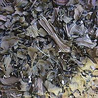 1 кг Щавель конский лист сушеный (Свежий урожай) лат. Rúmex confértus