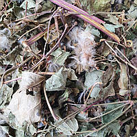 1 кг Ломонос виноградолистный/клематис/дедушкины кудри трава сушеная (Свежий урожай) лат. Clematis vitalba