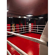 Кутові подушки для боксерського рингу V'Noks, фото 5