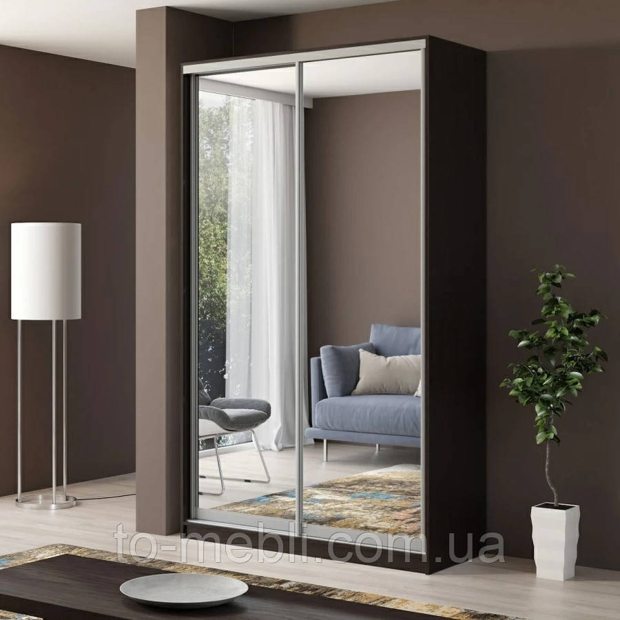 Шкаф купе двухдверный Виват ДСП-18мм ДОМ, цена 7613 ₴: купить на Prom ...