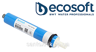 Мембранний елемент Ecosoft 50GPD (USA) для домашніх фільтрів зворотного осмосу (CSV181250ECO)