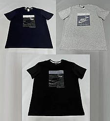 Чоловіча спортивна футболка Nike (Найк), чоловіча футболка з принтом. Чоловічий одяг