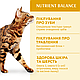 Акція! Сухий корм OPTIMEAL для дорослих котів, з куркою 1.5кг, фото 8