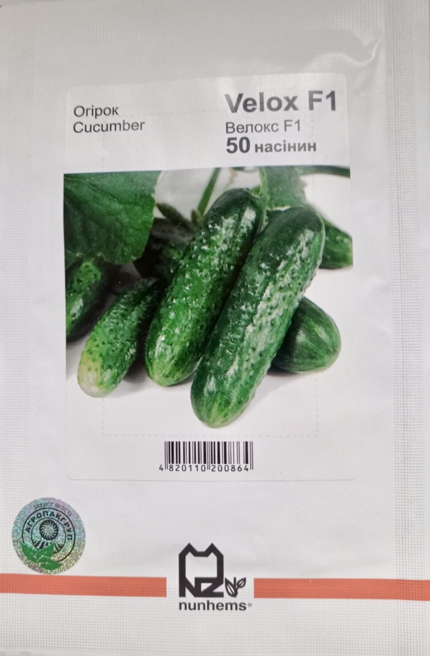 Огірок Велокс F1 50 шт Агропак (Nunhems), фото 1