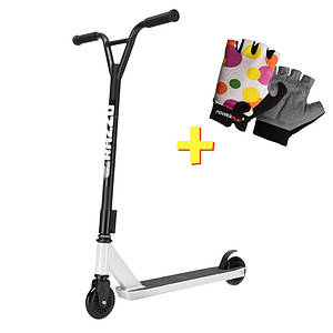 Транспорт в Киеве от компании 