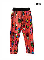 Теплі лосіни "Модні зайці" для дівчинки. 130, 140 см