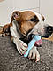 Жувальна іграшка кістка для собак Dog Walking TPR Chew Bone 15 см - бакитна, фото 6
