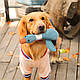Жувальна м'яка іграшка для собак PLUSH DUCK DOG TOY - качка коричнева, фото 7