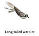 Змінна іграшка - пташка Long-tailed warbler, фото 2