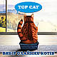 Наповнювач у кошачій лоток (туалет) силікагелевий TOP CAT Premium 10 л, фото 4