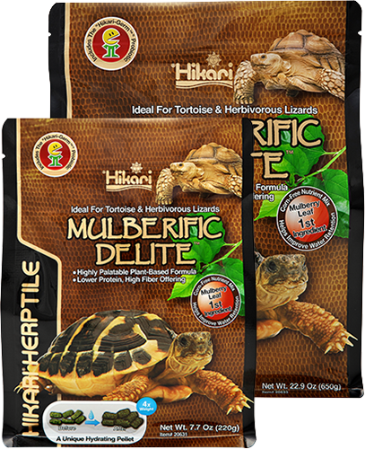 Корм для рослиноїдних черепах та ящірок Hikari MULBERIFIC DELITE гранули 650 г