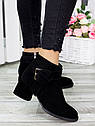 Ботильйони жіночі чорна замша Ella тм SOLLORINI, фото 2