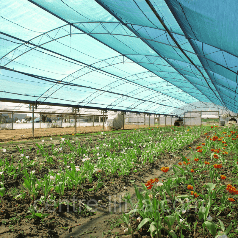 Затеняющая сетка 30% 3*10M: продажа, цена в Миргороде. Садовые сетки от ...