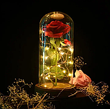 Троянда в колбі з LED-підсвіткою, фото 2