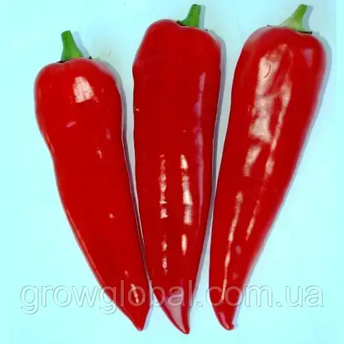 Насіння перцю Капія червона