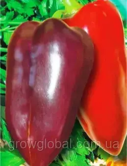 Насіння перцю Лайлак Белл