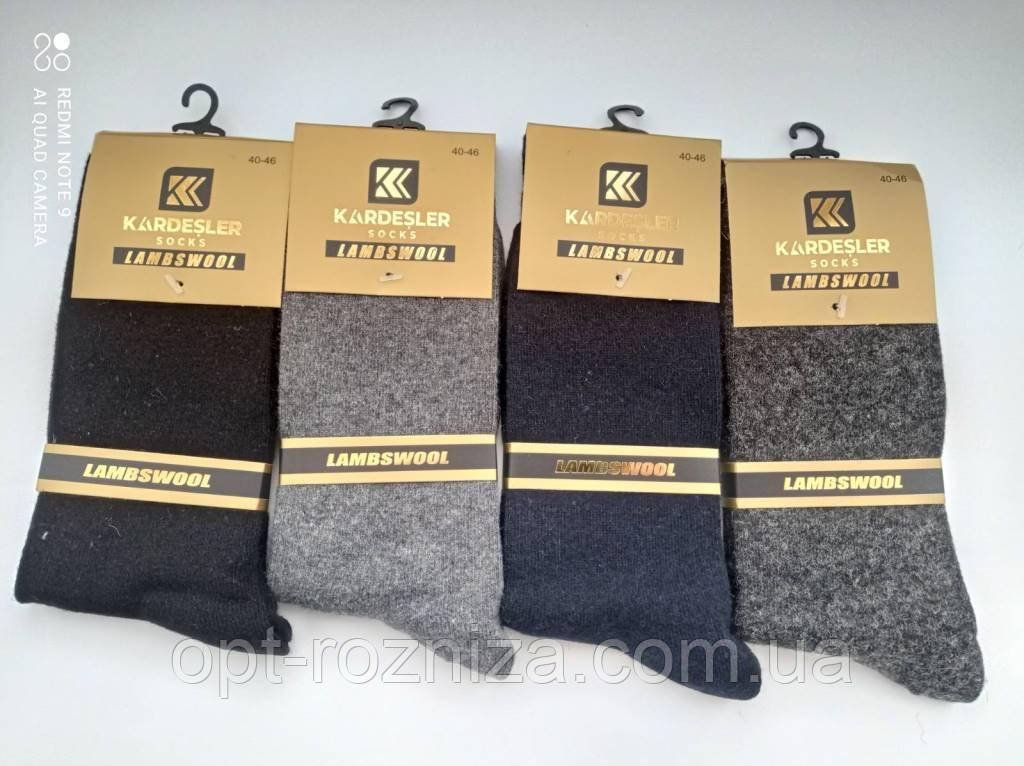 Чоловічі вовняні шкарпетки KARDESLER