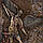 Інтер'єрна картина Архангел Михайло 16х2,3х23,5 см Veronese 0301894, фото 2