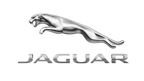 Ковпачки та наклейки для дисків Jaguar