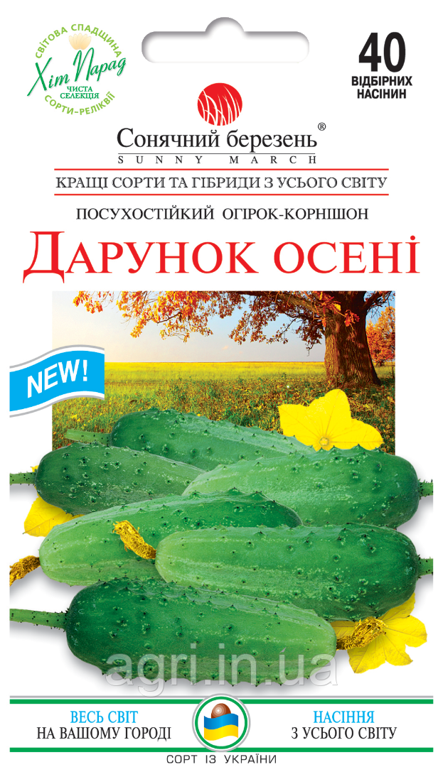 Огірок Дарунок осені, 40шт