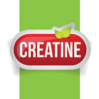 Креатин