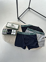 Комплект носки + трусы Lacoste, комплект носков и трусов лакосте, подарок парню, подарок для мужчин