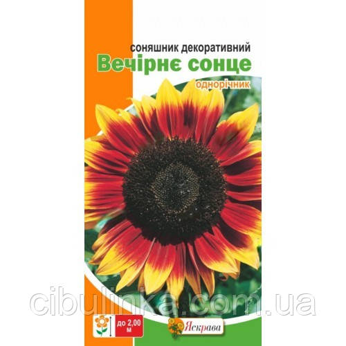 Соняшник декоративний Вечірнє Сонце Яскрава 2 г., фото 1