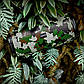 Портативна колонка BOROFONE BR13 Young sports BT speaker Camouflage Green, фото 4
