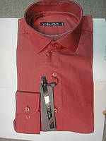 Рубашка мужская BAZZOLO приталенная SKY2250 красная