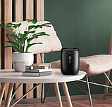 Осушувач повітря Mozano AGD/OSU/POW Робота від 220/12 вольт. Бак+шланг для зливу, до 20 м2, фото 7