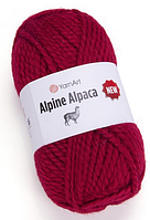 Alpine Alpaca New Yarnart-1434