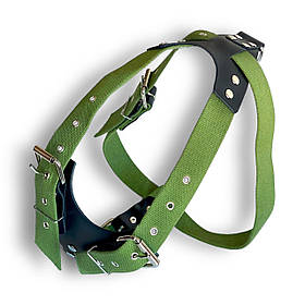 Шлея для собак брезентова. Брезентові шлеї для собак, зелена обхват шиї 58-88 см, обхват грудей 80-106 см, ширина 35 мм