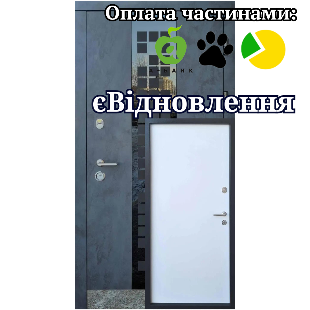 Вхідні двері Тріо Сіті ФОРТ, фото 1