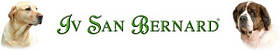 Шампуні для собак та котів Iv San Bernard