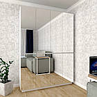 Шафа розпашна з дзеркальними дверцятами HOLD №16. Шафи в спальню і передпокій. Шафа для одягу платяна