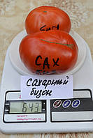 Насіння томату Сахарный бизон, Колекційні насіння помідорів , Семена томатов