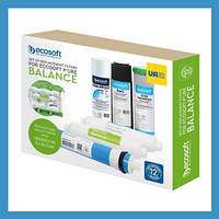 Комплект Ecosoft P ure Balance 12 месяцев. CHV5PUREBAL.