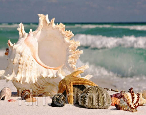 Комплект алмазної вишивки Черепашки біля моря DIY 30 х 40 см (арт. FS280)