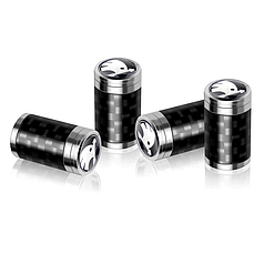 Ковпачки на ніпель для авто Шокоду Alitek Carbon Silver Skoda (4 шт.)