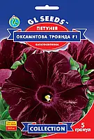 Петунія Оксамитова Троянда Дебон Ейр Блек чері F1 багатобарвна темно-вишневе забарвлення, паковання 5 гранул