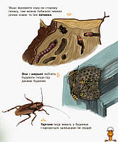 Детская энциклопедия про насекомых, для дошкольников, игрушка, от 2 лет, Ranok Creative 614014