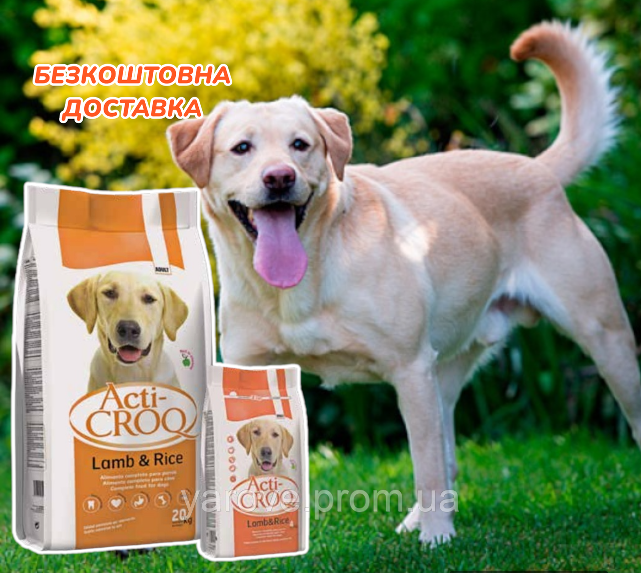 Корм для собак великих порід з бараниною та рисом ACTI-CROQ 20кг ...