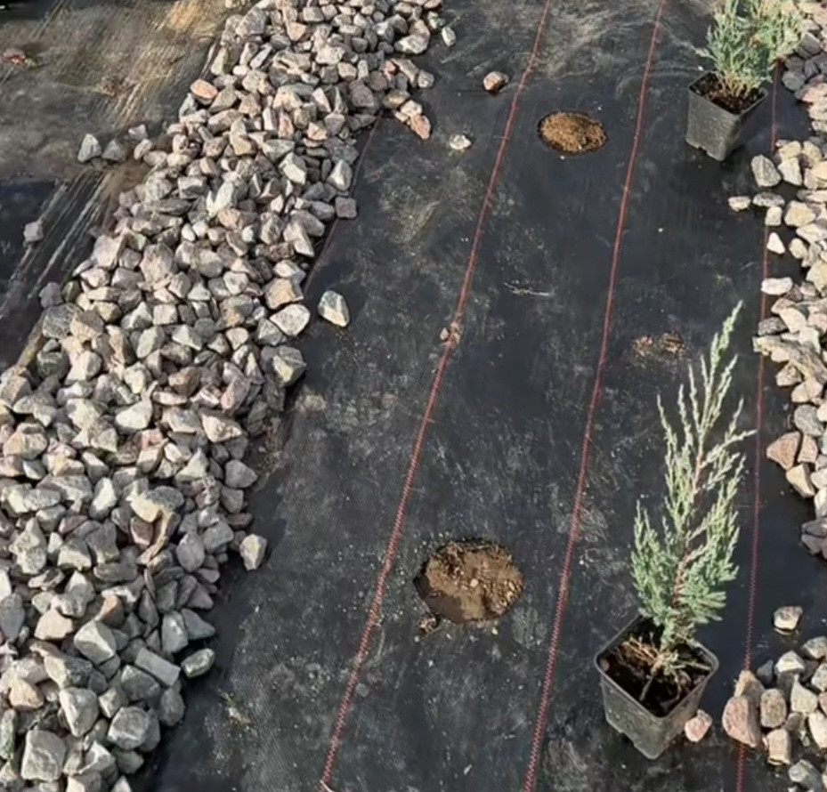 Агротканина проти бур'янів чорна UV, 90 гр/м2 розмір 1,6м х 100м, агротканина мульчуюча