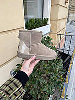 Угги UGG mini micha lacquer light brown