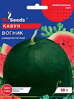 Кавун Вогник скоростиглий м'якоть ніжна, соковита, солодка висока транспортабельність стійкий, упаковка 10 г