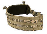 Пояс для РПС  MM14 Tactical Warrior ММ14 - WinTac, фото 3