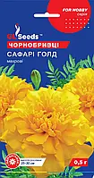 Бархатцы Сафари Голд сорт ранний обильно и длительно цветущий компактный махровый, упаковка 0,5 г