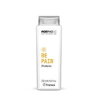 Восстанавливающий шампунь для тусклых волос с маслом камелии и керамидами Morphosis Repair Shampoo Framesi 250